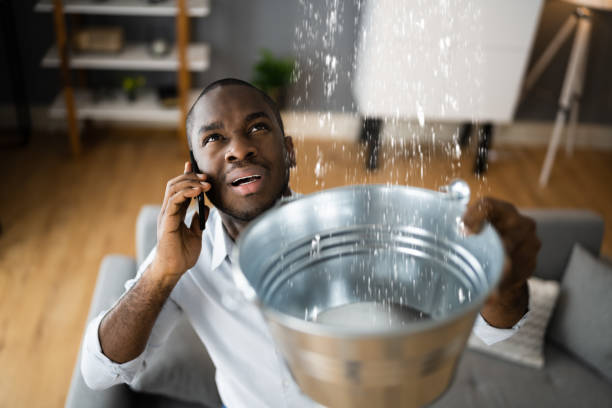 Best Ceiling water damage repair  in Waltham, MA
