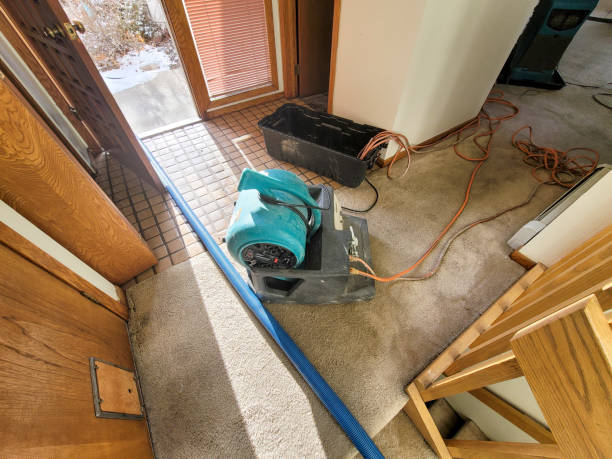 Best Flood damage cleanup  in Waltham, MA
