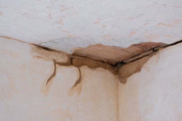 Reliable MA Water damage restoration Solutions