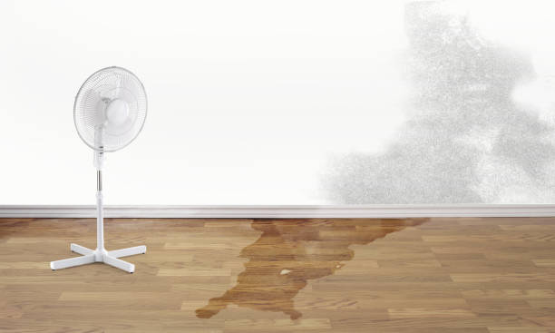 Best Water damage restoration experts  in Waltham, MA