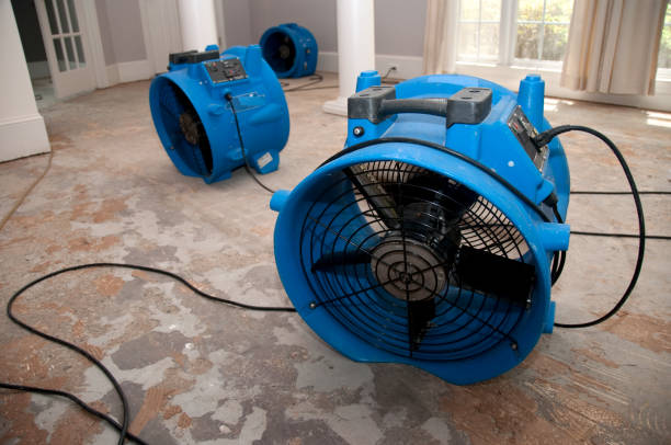 Best Water damage restoration near me  in Waltham, MA