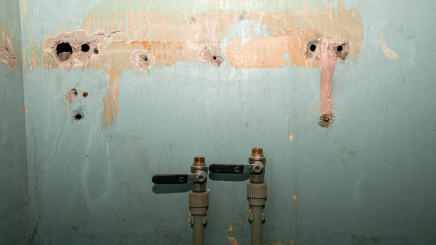 Best Flooded house restoration  in Waltham, MA