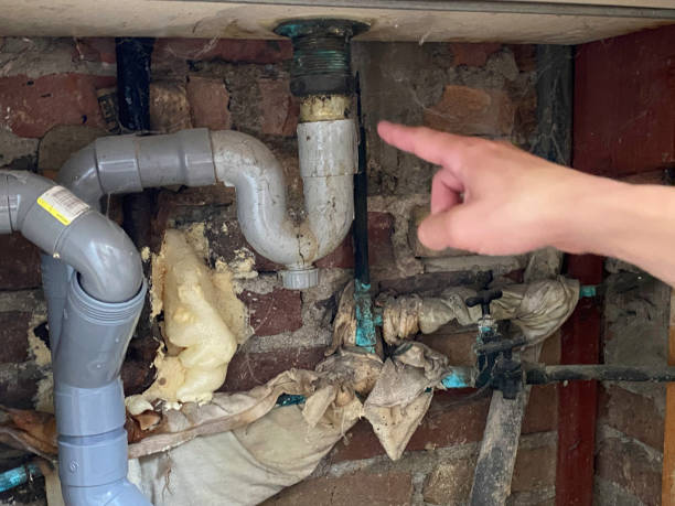 Best Mold removal after water damage  in Waltham, MA