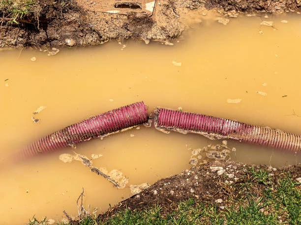 Best Professional water damage repair  in Waltham, MA