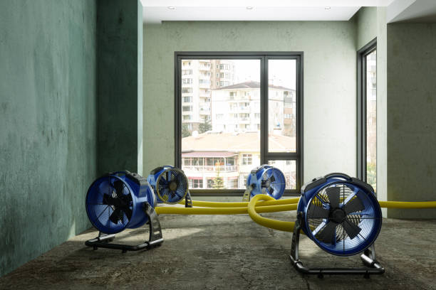 Best Emergency water damage restoration  in Waltham, MA