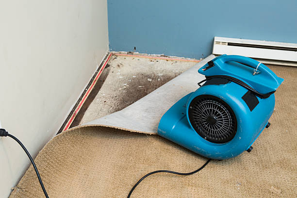 Best Water damage restoration near me  in Waltham, MA